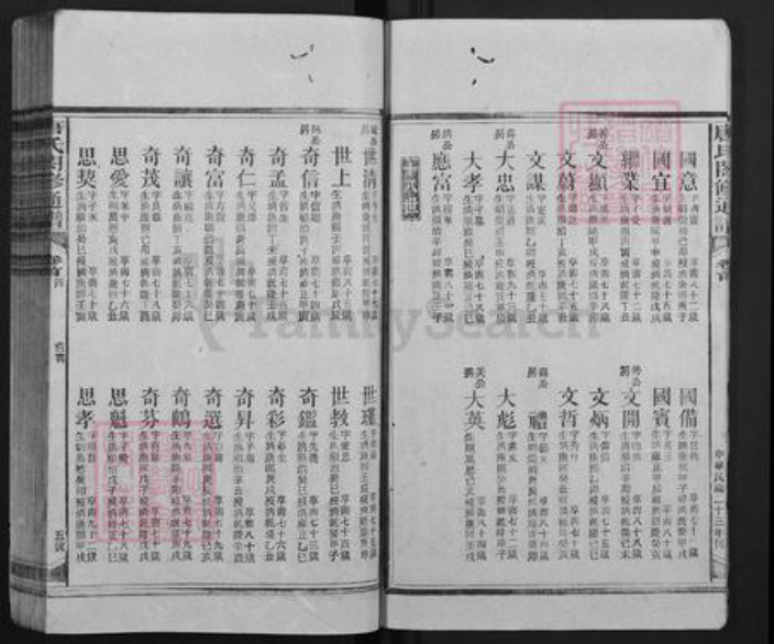 湖南省邵阳市隆回县新田唐氏族谱-唐氏合修通谱.pdf电子版插图5