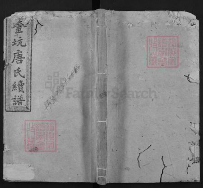 江西省赣州市崇义县金坑乡唐氏敦睦堂族谱-阜江金坑唐氏续谱.pdf电子版插图