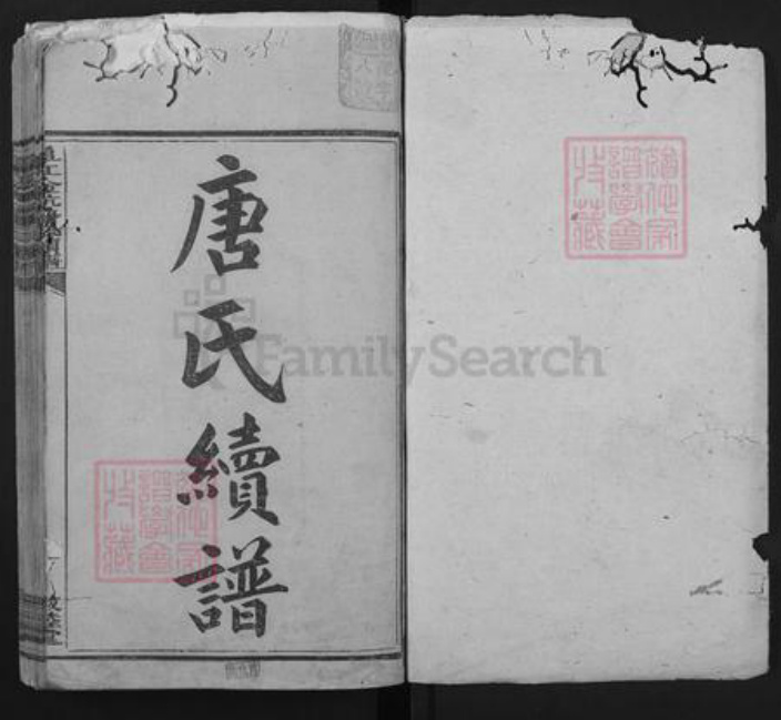 江西省赣州市崇义县金坑乡唐氏敦睦堂族谱-阜江金坑唐氏续谱.pdf电子版插图1