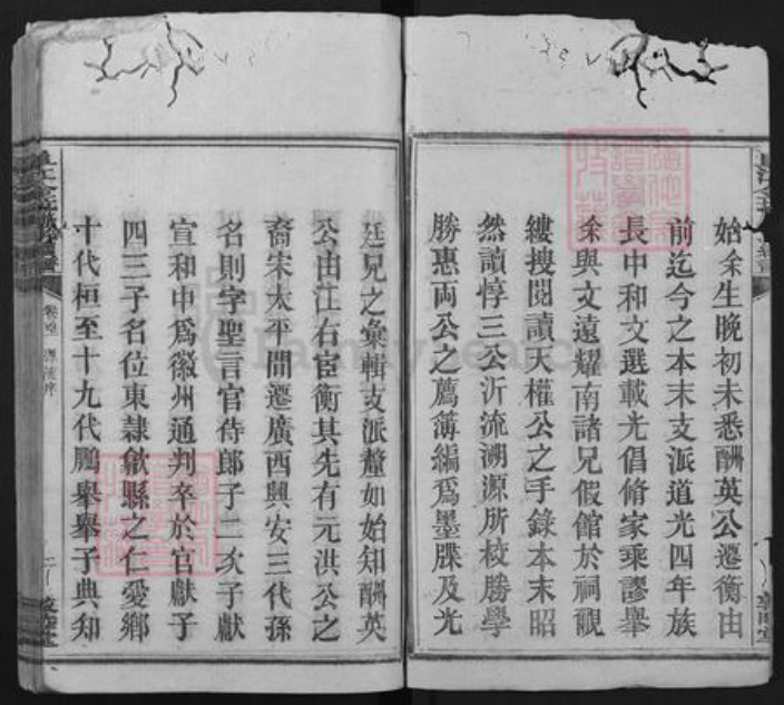 江西省赣州市崇义县金坑乡唐氏敦睦堂族谱-阜江金坑唐氏续谱.pdf电子版插图3