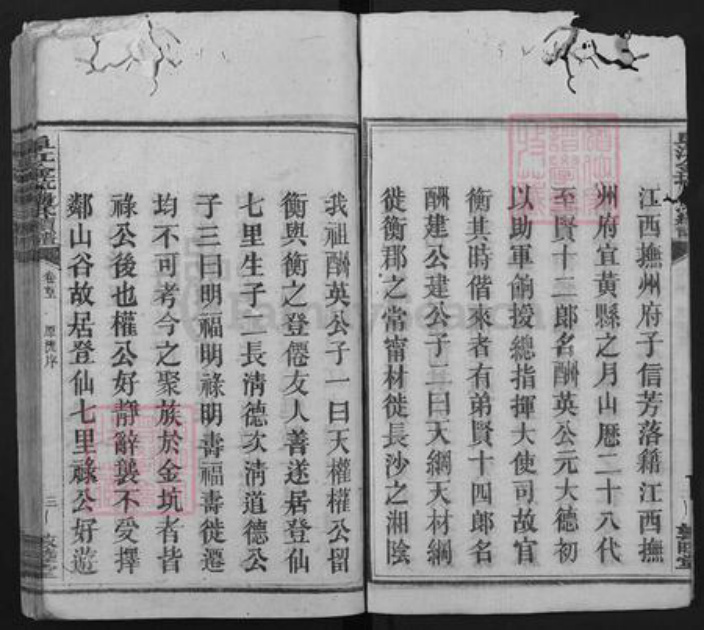 江西省赣州市崇义县金坑乡唐氏敦睦堂族谱-阜江金坑唐氏续谱.pdf电子版插图4