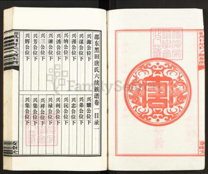 湖南省邵阳市邵东市唐氏敦睦堂族谱-邵东黑田唐氏六续族谱.pdf电子版插图2