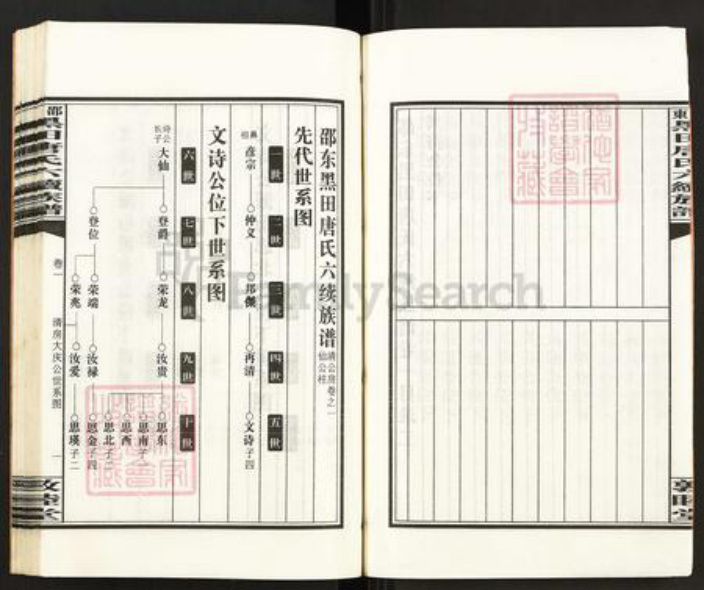 湖南省邵阳市邵东市唐氏敦睦堂族谱-邵东黑田唐氏六续族谱.pdf电子版插图4