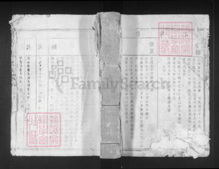 江西省赣州市宁都县洛口镇唐氏族谱-唐氏重修族谱.pdf电子版插图