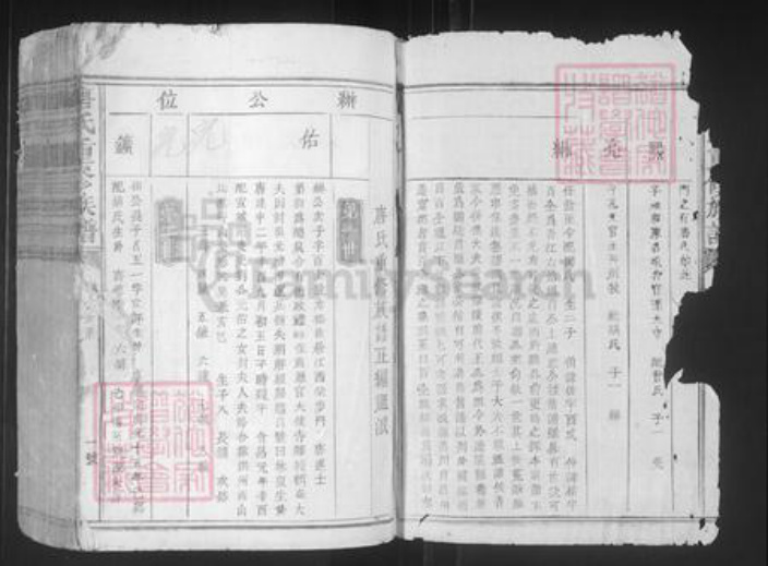 江西省赣州市宁都县洛口镇唐氏族谱-唐氏重修族谱.pdf电子版插图1