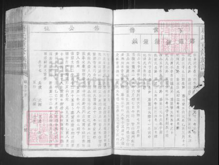 江西省赣州市宁都县洛口镇唐氏族谱-唐氏重修族谱.pdf电子版插图2