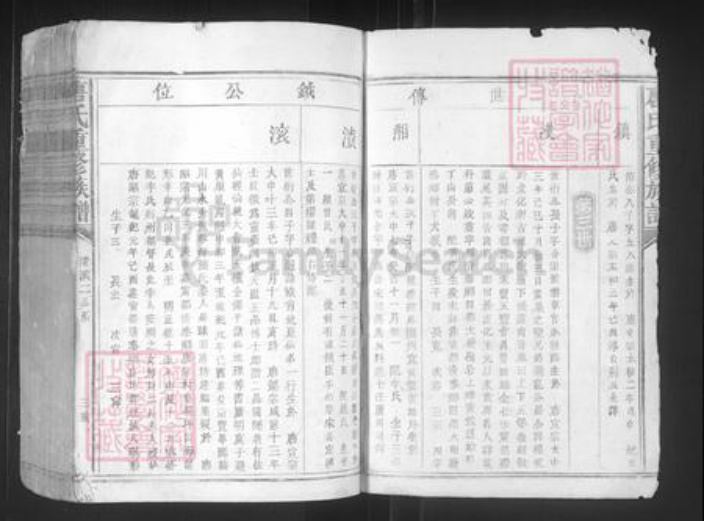 江西省赣州市宁都县洛口镇唐氏族谱-唐氏重修族谱.pdf电子版插图3
