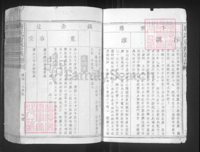 江西省赣州市宁都县洛口镇唐氏族谱-唐氏重修族谱.pdf电子版插图4