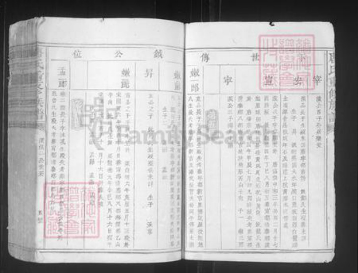 江西省赣州市宁都县洛口镇唐氏族谱-唐氏重修族谱.pdf电子版插图5