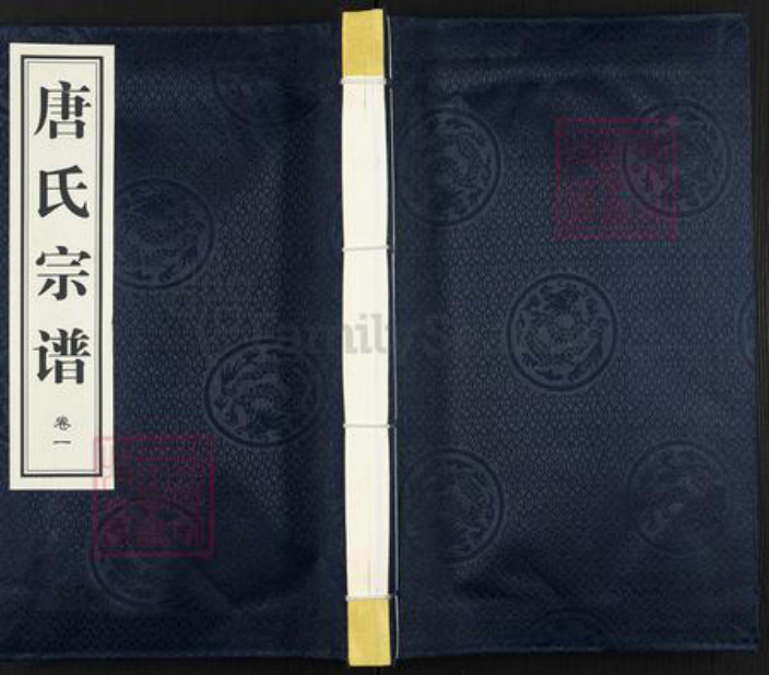 江苏省常州市武进县雪堰镇唐氏三余堂族谱-唐氏宗谱.pdf电子版插图 江苏省常州市武进县雪堰镇唐氏三余堂族谱-唐氏宗谱.pdf电子版插图