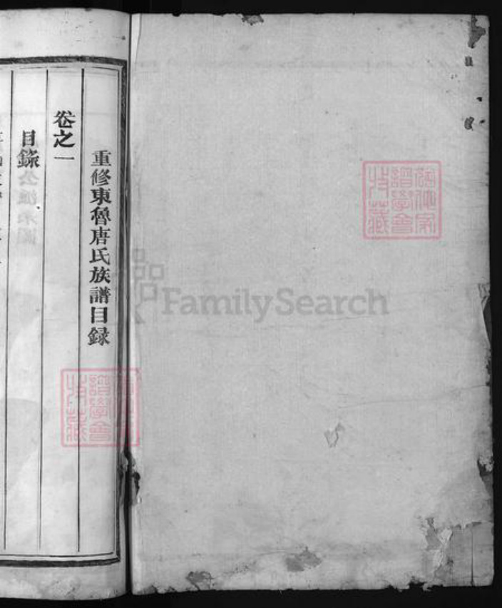 浙江省唐氏族谱-东鲁唐氏族谱 [5卷].pdf电子版插图1