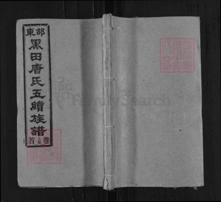 湖南省邵阳市邵东市唐氏敦睦堂族谱-邵东黑田唐氏五续族谱.pdf电子版插图