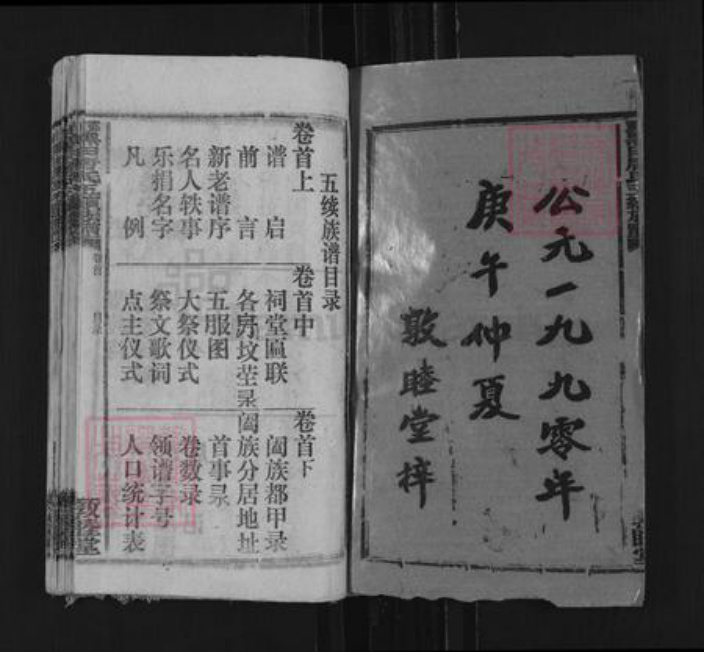 湖南省邵阳市邵东市唐氏敦睦堂族谱-邵东黑田唐氏五续族谱.pdf电子版插图1