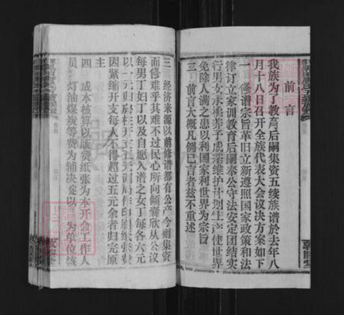 湖南省邵阳市邵东市唐氏敦睦堂族谱-邵东黑田唐氏五续族谱.pdf电子版插图4