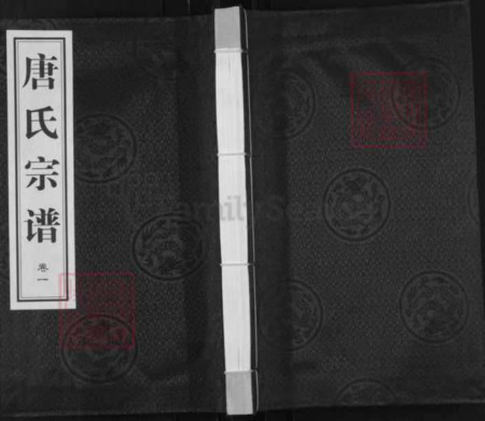 江苏省镇江市丹阳市唐氏三余堂族谱-唐氏宗谱.pdf电子版