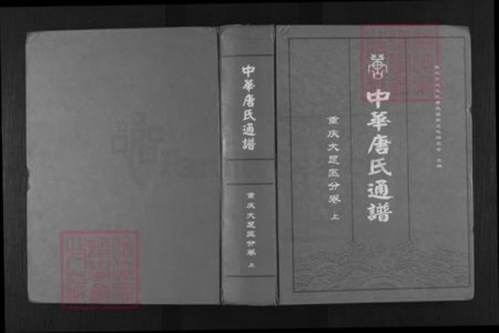 重庆市大足区唐氏族谱-中华唐氏通谱.pdf电子版