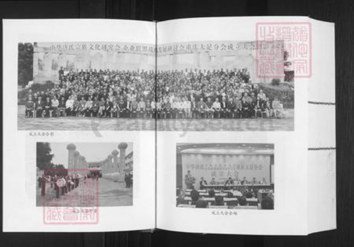 重庆市大足区唐氏族谱-中华唐氏通谱.pdf电子版插图4