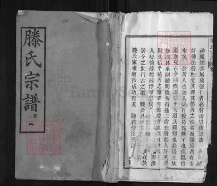 湖北省黄冈市滕氏忠直堂族谱-滕氏宗谱.pdf电子版插图 湖北省黄冈市滕氏忠直堂族谱-滕氏宗谱.pdf电子版插图