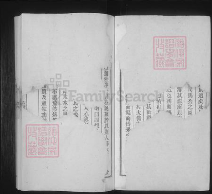安徽省安庆市桐城市汪氏族谱-汪氏六修宗谱 [41卷,首末各1卷].pdf电子版插图2