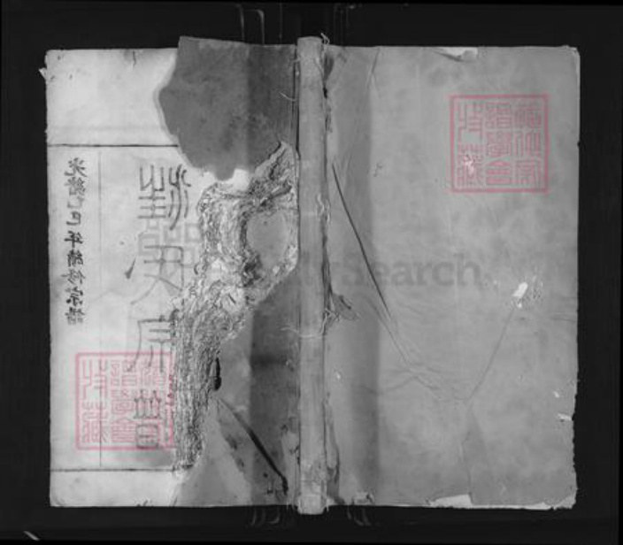 浙江省衢州常山县芳村镇汪氏尊亲堂族谱-汪氏宗谱.pdf电子版