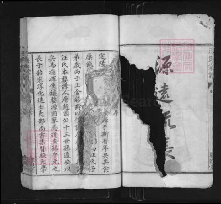 浙江省衢州常山县芳村镇汪氏尊亲堂族谱-汪氏宗谱.pdf电子版插图1