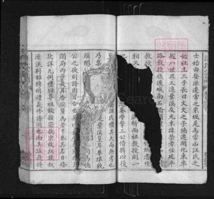 浙江省衢州常山县芳村镇汪氏尊亲堂族谱-汪氏宗谱.pdf电子版插图2