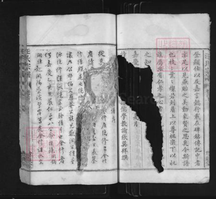 浙江省衢州常山县芳村镇汪氏尊亲堂族谱-汪氏宗谱.pdf电子版插图3