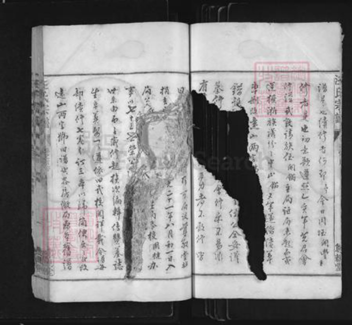 浙江省衢州常山县芳村镇汪氏尊亲堂族谱-汪氏宗谱.pdf电子版插图4