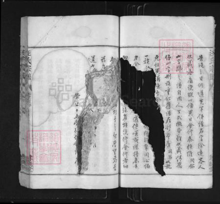 浙江省衢州常山县芳村镇汪氏尊亲堂族谱-汪氏宗谱.pdf电子版插图5