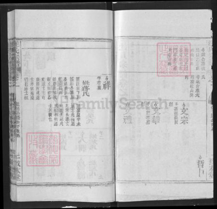 湖北省武汉市新洲区汪氏敦本堂族谱-汪氏宗谱.pdf电子版插图2