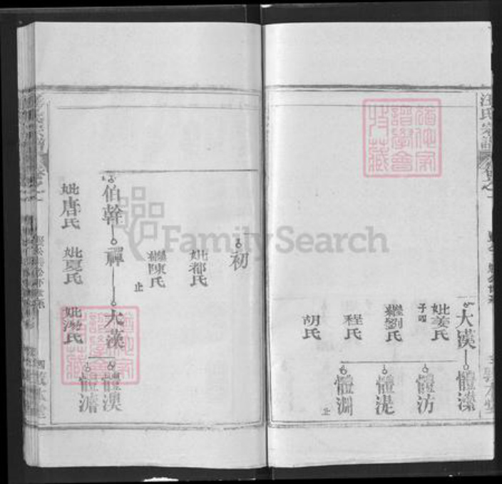 湖北省武汉市新洲区汪氏敦本堂族谱-汪氏宗谱.pdf电子版插图4