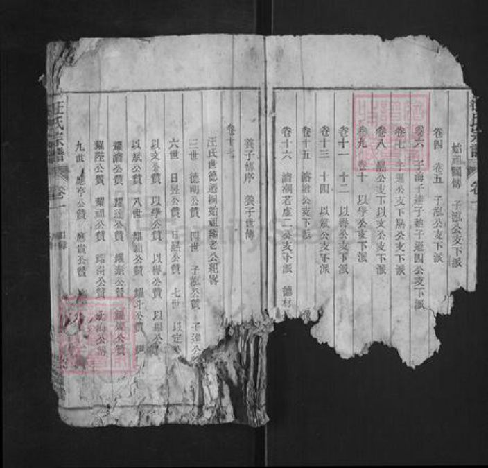 安徽省铜陵市枞阳县雨坛镇汪氏积庆堂族谱-汪氏宗谱.pdf电子版插图2