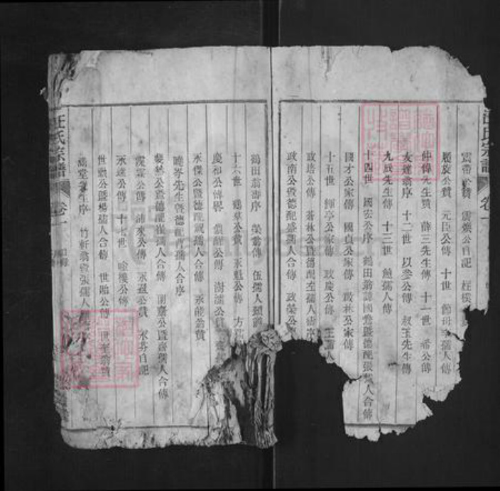 安徽省铜陵市枞阳县雨坛镇汪氏积庆堂族谱-汪氏宗谱.pdf电子版插图3