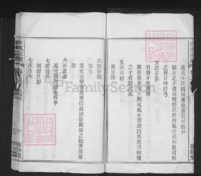 安徽省安庆市望江县长岭镇汪氏敦睦堂族谱-汪氏宗谱.pdf电子版插图3
