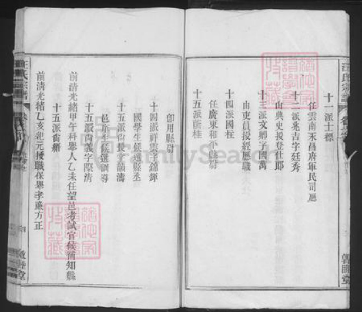 安徽省安庆市望江县长岭镇汪氏敦睦堂族谱-汪氏宗谱.pdf电子版插图5