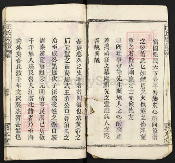 湖北省鄂州市汪氏敦本堂族谱-汪氏宗谱.pdf电子版插图2
