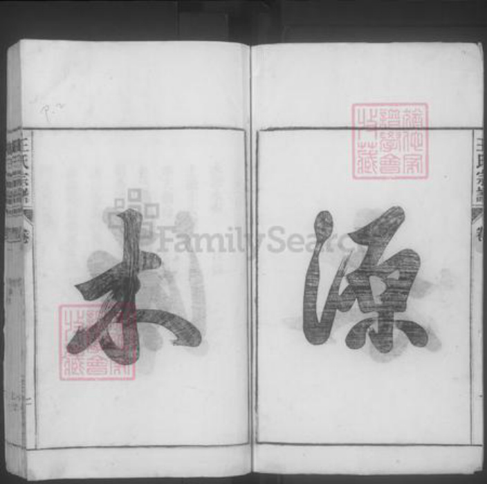 安徽省合肥市巢湖市王氏族谱-王氏宗谱 [28卷,首末各1卷].pdf电子版插图2