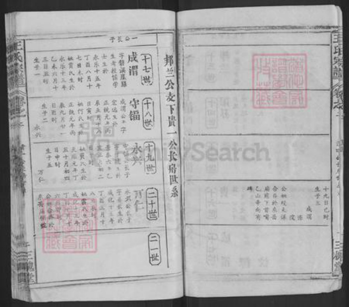 湖北省黄冈市武穴市王氏三槐堂族谱-王氏宗谱.pdf电子版插图3