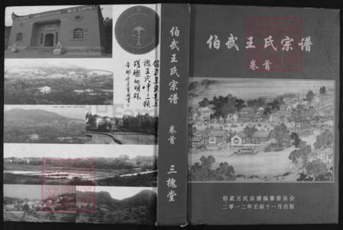 湖北省黄冈市浠水县汪岗镇王氏三槐堂族谱-伯武王氏宗谱.pdf电子版