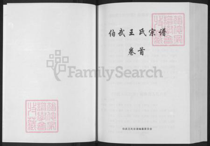 湖北省黄冈市浠水县汪岗镇王氏三槐堂族谱-伯武王氏宗谱.pdf电子版插图2