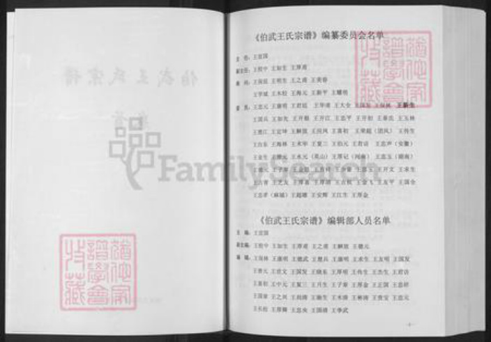湖北省黄冈市浠水县汪岗镇王氏三槐堂族谱-伯武王氏宗谱.pdf电子版插图3