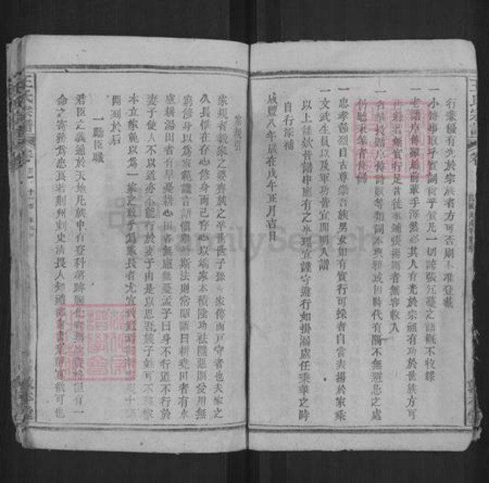 湖北省黄冈市浠水县王氏敦本堂族谱-王氏宗谱.pdf电子版插图4