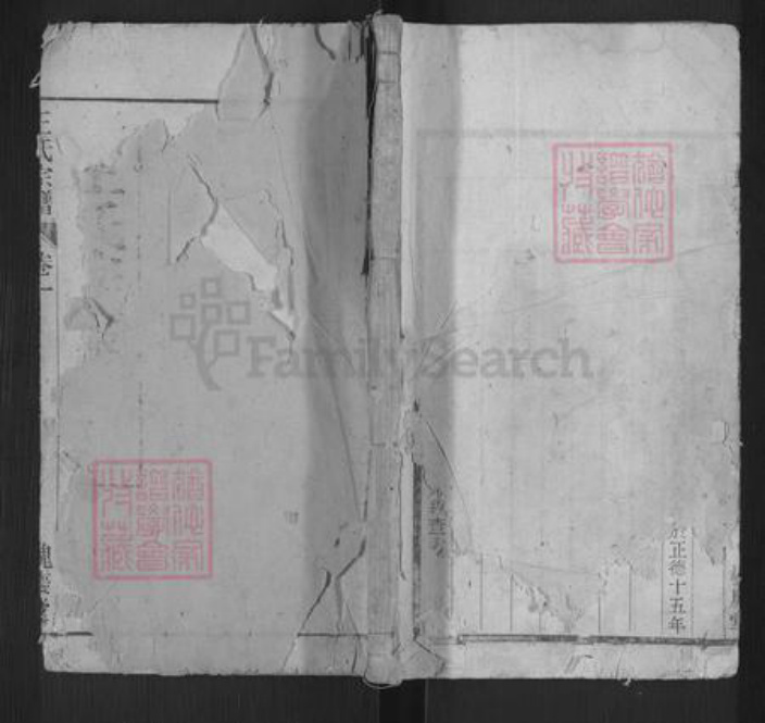 安徽省安庆市枞阳县项铺镇王氏槐庆堂族谱-炭端口王氏宗谱.pdf电子版