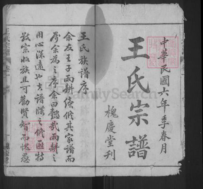 安徽省安庆市枞阳县项铺镇王氏槐庆堂族谱-炭端口王氏宗谱.pdf电子版插图1