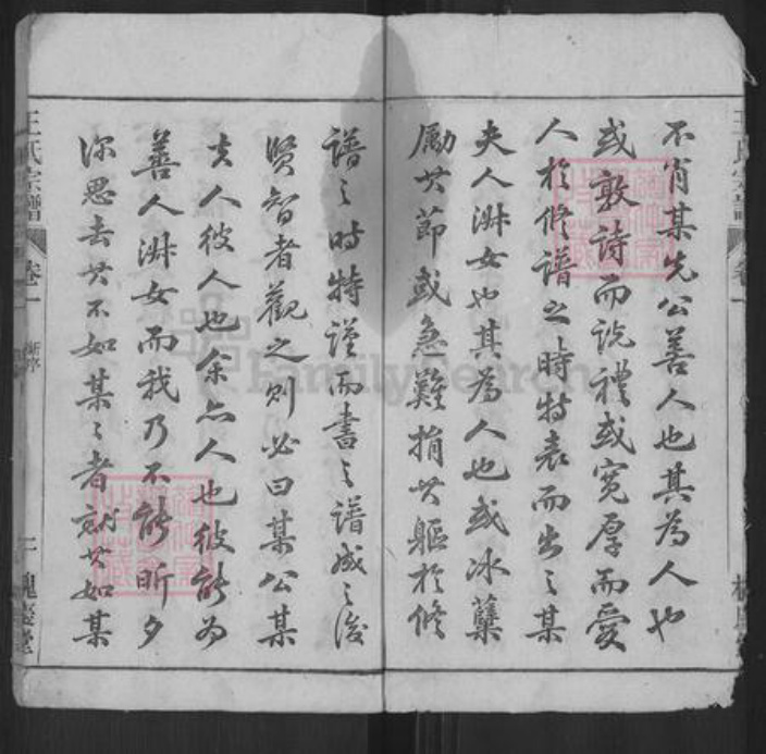 安徽省安庆市枞阳县项铺镇王氏槐庆堂族谱-炭端口王氏宗谱.pdf电子版插图2