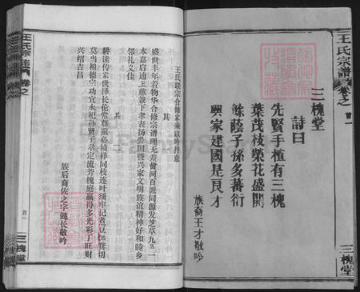 湖北省黄冈市黄州区王氏三槐堂族谱-王氏宗谱.pdf电子版插图2