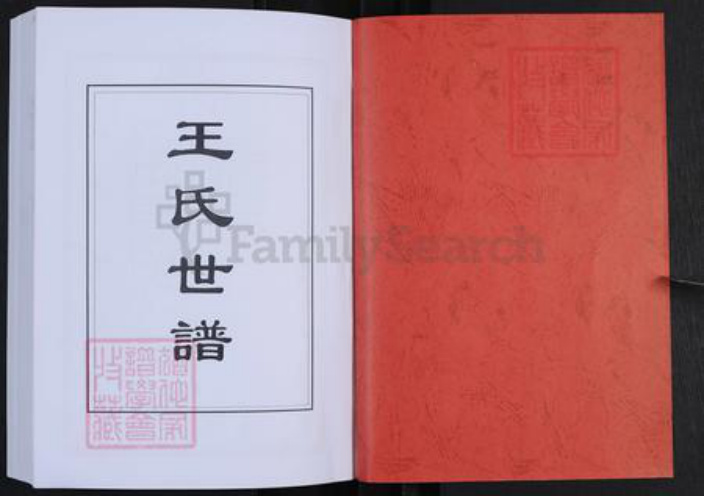 山东省淄博市桓台县新城镇王氏带经堂族谱-山东新城琅琊王氏世谱.pdf电子版插图1