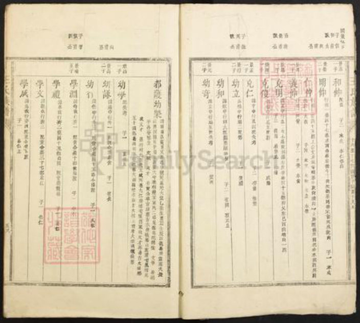 江西省抚州市乐安县湖坪乡王氏孝享堂族谱-王氏族谱.pdf电子版插图3
