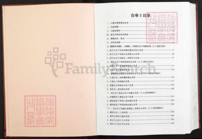 湖北省黄冈市蕲春县大同镇王氏族谱-鼓角王氏再四公支系统宗谱.pdf电子版插图2