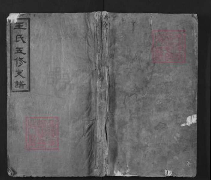 湖南省衡阳市衡阳县樟木乡王氏太原堂族谱-王氏五修支谱.pdf电子版插图